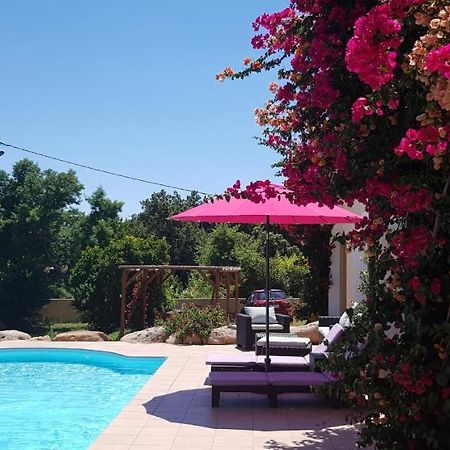 Cyrnea B&B - Adults Only Porto-Vecchio  Kültér fotó