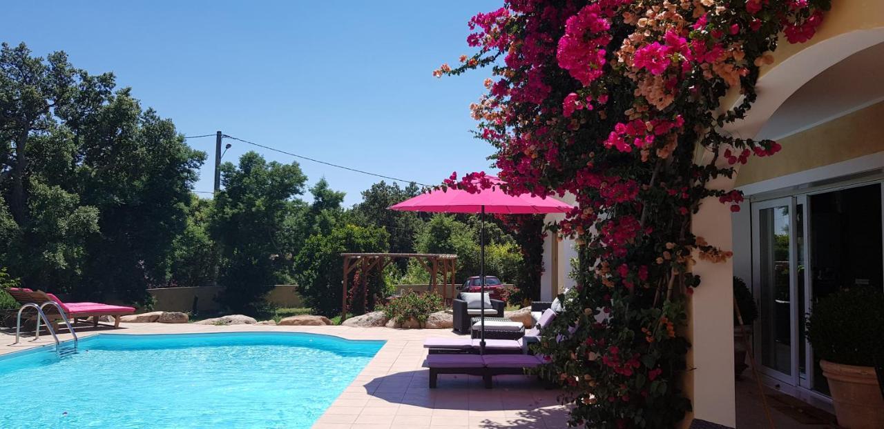 Cyrnea B&B - Adults Only Porto-Vecchio  Kültér fotó